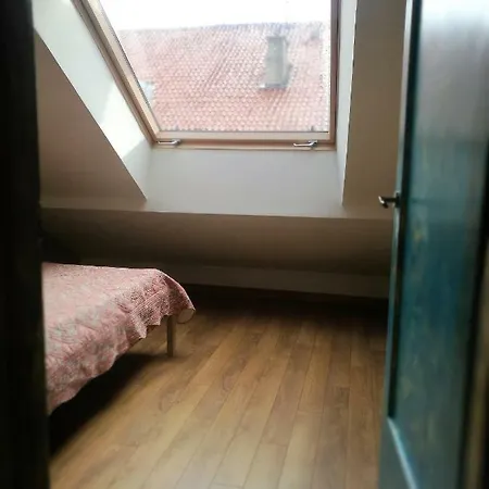 Attic In The Old Town Kurpiai Apartment Klaipeda